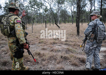 Royal Australian Air Force führt Aircraftsman Jeffrey Gavidi, 2. Sicherheitskräfte Flugplatz Verteidigung schützen, und Senior Airman Hannah Phillips, 736th Sicherheit Kräfte Squadron Reaktionskräfte (SFS) Führer, Praxis-Befehle mit Omeka, ein RAAF militärischer Arbeitshund, 22.Juli Talisman Saber 2013 auf Williamson Flugplatz. Die 736th SFS ist Bestandteil der 36. Kontingenz Response Group (CRG), Andersen Air Force Base, Guam. 36. CRG nahm Befehl und Kontrolle des Flugplatzes vom 1. Bataillon, 501st Fallschirm-Infanterie-Regiment, 4th Brigade Combat Team, 25. Infanterie-Division (Airborne) und tu Stockfoto