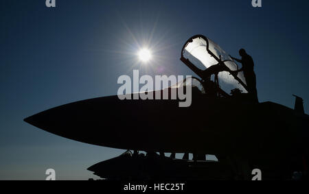 Ein US-Air Force Crewchief mit 494 Expeditionary Fighter Squadron bereitet eine F-15E Strike Eagle Flugzeuge für den Start bei Souda Air Base, Griechenland, während einer fliegenden Training-Bereitstellung mit der Hellenic Air Force 27. Februar 2014. Europa-basierte Air Force Flugzeuge und Personal teilgenommen in eine simulierte Bereitstellung, einschließlich Kampftraining mit Elementen der Hellenic Air Force. (DoD Foto von Staff Sgt Thomas Trower, US Air Force/freigegeben) Stockfoto