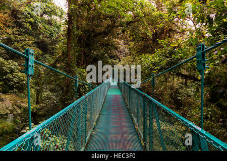 Hängebrücke über den Baumkronen der Bäume in Monteverde, Costa Rica, Mittelamerika Stockfoto