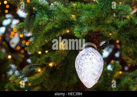 Große Lampe auf einem Weihnachtsbaum. Lichter auf einen großen Weihnachtsbaum in der Altstadt in Warschau, Polen Stockfoto