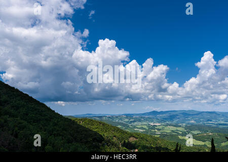 Typische grüne Toskana-Landschaft mit Hügeln, Bäumen und blauen, bewölkter Himmel Stockfoto
