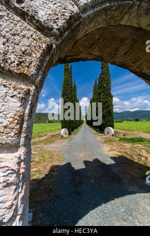 Das Eingangstor zu einem Bauernhof und eine Gasse mit grünen Zypressen Stockfoto