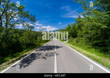 Typische grüne Toskana-Landschaft mit Hügeln, Bäume, eine Straße führt in die Stadt und blau, bewölkten Himmel Stockfoto