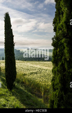 Typische grüne Toskana-Landschaft im Val d ' Orcia mit einem Bauernhof und eine kleine Kapelle auf einem Hügel, Felder, Zypressen, Bäume und am Morgen Nebel bei Sonnenaufgang Stockfoto