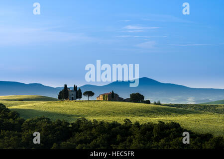 Typische grüne Toskana-Landschaft im Val d ' Orcia mit einem Bauernhof und eine kleine Kapelle auf einem Hügel, Felder, Zypressen, Bäume und blau, bewölkten Himmel Stockfoto