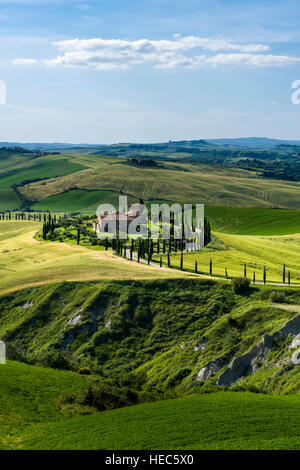 Typische grüne Toskana-Landschaft im Val d ' Orcia mit einer Farm auf einem Hügel, eine kurvenreiche Straße, Felder, Zypressen und blauer Himmel Stockfoto