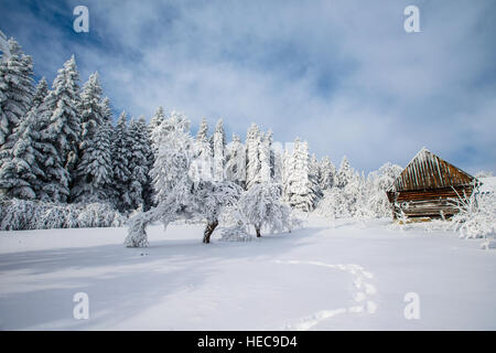 schönes Holzhaus im Winterwald Stockfoto