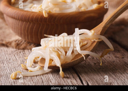 Makro Mung Sojasprossen in einem hölzernen Löffel auf dem Tisch. Horizontale Stockfoto