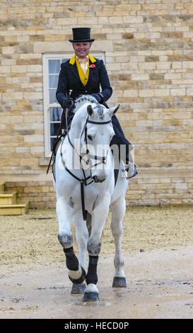 Eine elegante Dame saß Damensattel auf ihrem Pferd, gekleidet in Tradition Jagd Outfit getragen in Großbritannien Stockfoto