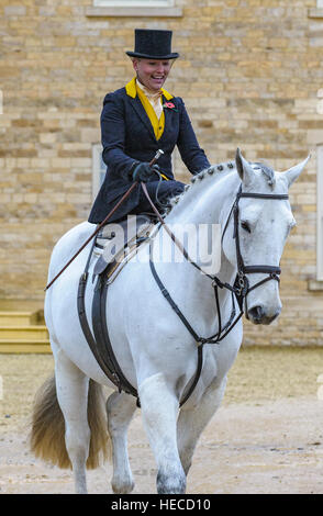 Eine elegante Dame saß Damensattel auf ihrem Pferd, gekleidet in Tradition Jagd Outfit getragen in Großbritannien Stockfoto