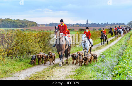 Die Cranwell Bluthunde am Ende Reiten Tagesheim mit RAF Cranwell sichtbar im Hintergrund Stockfoto