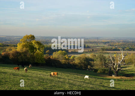 Ein Blick über das Vale of Bedford von Houghton House. Stockfoto