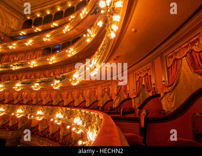 Argentinien, Buenos Aires Provinz, Stadt Buenos Aires, Innenansicht des Teatro Colón und seine Concert Hall. Stockfoto