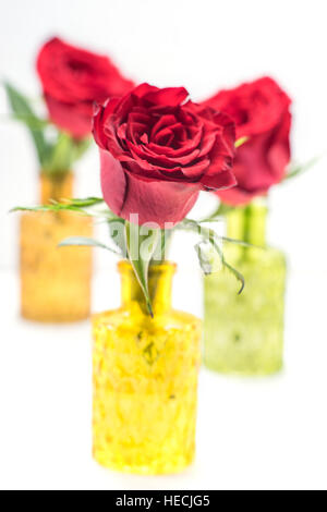 Nahaufnahme von drei rote Rosen im Glasvasen Stockfoto
