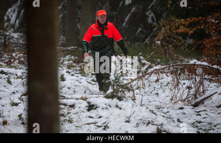 Göhrde, Deutschland. 15. November 2016. Hunter Peter Pabel in einem Wald in Göhrde, Deutschland, 15. November 2016. Foto: Philipp Schulze/Dpa/Alamy Live News Stockfoto