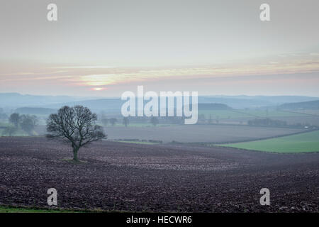 Oxton, Nottinghamshire, UK. 20. Dezember 2016. Untergehende Sonne über ländliche Nottinghamshire am Vorabend der Wintersonnenwende. © Ian Francis/Alamy Live-Nachrichten Stockfoto