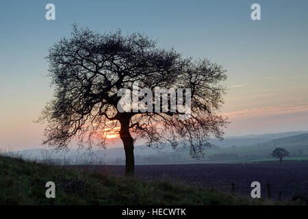 Oxton, Nottinghamshire, UK. 20. Dezember 2016. Untergehende Sonne über ländliche Nottinghamshire am Vorabend der Wintersonnenwende. © Ian Francis/Alamy Live-Nachrichten Stockfoto