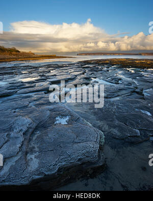 Felsiger Strand in Castletown, Caithness, Schottland.  Frostigen Grundgestein Platten Stockfoto