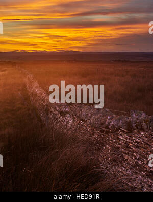 Trockenmauern Deich auf dem Hügel Olrig bei Sonnenuntergang, Castletown, Caithness, Schottland Stockfoto