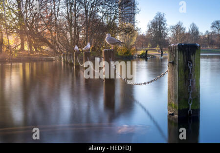 Post und Kette Zaun neben serpentine Brücke am Hyde Park, London, UK Stockfoto