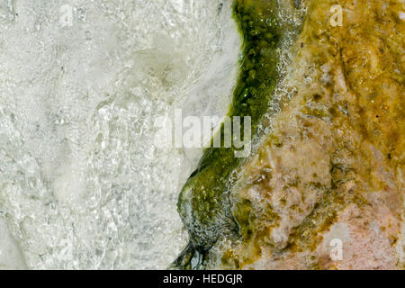 Details zu Mineralien und fließendem Wasser der heißen Quellen von Bagni San Filippo Stockfoto