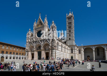 Viele Touristen sind zu Fuß auf dem Platz vor der Kathedrale von Siena, Piazza del Duomo di Siena Stockfoto