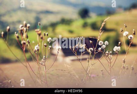 Kleinen Siedlung in den Bergen. Häuser, Nebengebäude und Felder. Stockfoto