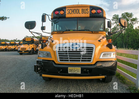 Schulbusse sind an einem Sonntag in einem Schulbus Parkplatz durch ein Feld geparkt. Stockfoto