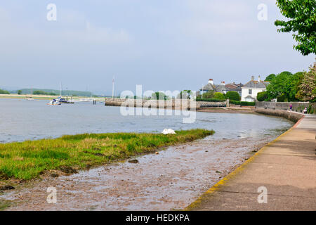 Topsham ist immer wünschenswert und qualitativ hochwertigen Wohnstandort geworden. Es ist eine attraktive Stadt auf die Exe-estuary.UK Stockfoto