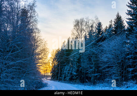 Eine Schnee-Straße in den Wald in Richtung einer orange sunset Stockfoto