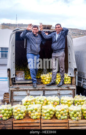 BAKU, Aserbaidschan - 24 SEPTEMBER: Mann Verpackung Äpfel in die Taschen von vollen LKW auf dem örtlichen Großmarkt in Baku. September 2016 Stockfoto