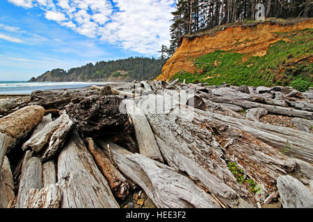 Drift anmeldet Oregon Pazifikküste, Oswald west State Park, kurze Sand Strand Stockfoto