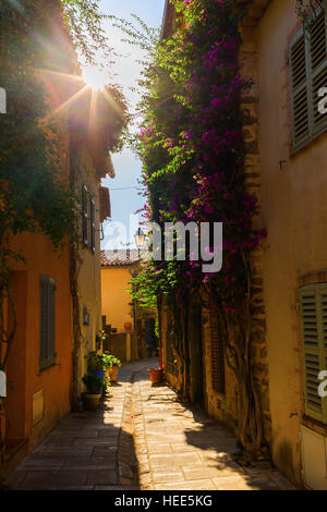 Gasse in dem malerischen Dorf Grimaud, Südfrankreich Stockfoto