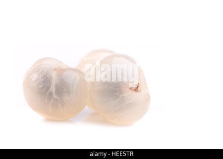 Nahaufnahme Longan isoliert auf weißem Hintergrund Stockfoto