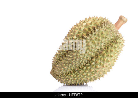 Nahaufnahme Thai Durian, tropische Früchte, isoliert auf weißem Hintergrund Stockfoto