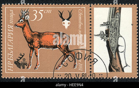 Eine Briefmarke gedruckt in Bulgarien zeigt Rehe und Schrotflinte, Serie "Expo 81, Jagd", 1981 Stockfoto