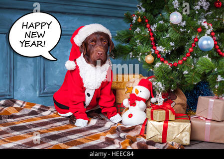 Der schwarze Labrador Retriever sitzend mit Geschenke zu Weihnachten Dekorationen Hintergrund Stockfoto