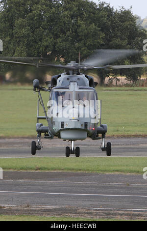 Aw 159 Luchs Wildkatze hma 2 Hubschrauber zz 379 der Royal Navy, der Luchs Wildkatze ersetzt die lynx Hma 8 in Rn-Service. Stockfoto