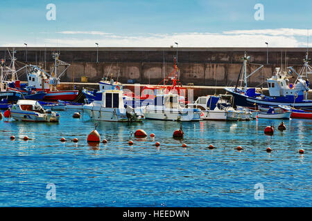 Angelboote/Fischerboote in den Hafen von Sun Juan. Kanarische Inseln-Teneriffa, Spanien Stockfoto