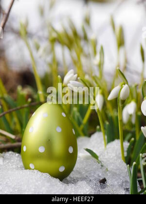 Osterei Wiese Schneeglöckchen Stockfoto