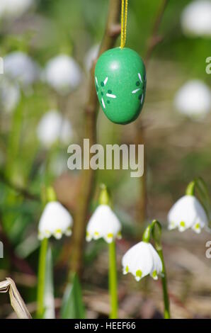 Osterei Wiese Schneeglöckchen Schneeflocke Stockfoto