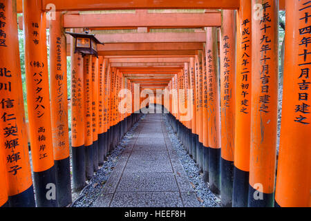 Endlosen Torii Schrein Tore am Fushimi Inari Schrein, Kyoto, Japan Stockfoto