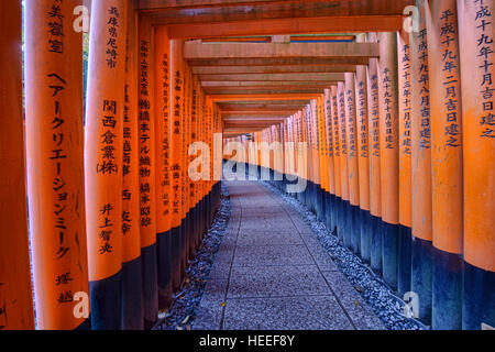 Endlosen Torii Schrein Tore am Fushimi Inari Schrein, Kyoto, Japan Stockfoto