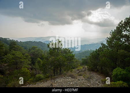 Regen Sie im Troodos-Gebirge Stockfoto