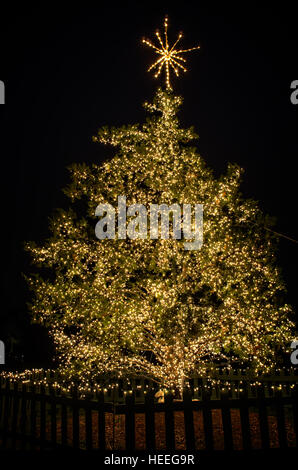 Weihnachtsbaum in einem Park von Lake Woodlands TX erschossen Stockfoto