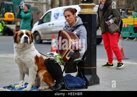 Ein Straßenmusikant mit ihrem Hund spielen auf der Straße vor dem Haus auszugestalten London, UK Stockfoto