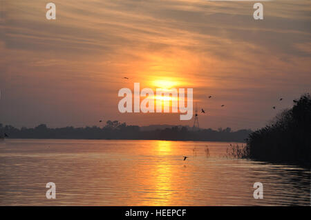 Sonnenuntergang am Blick auf See mit fliegenden Vögel und Wolken im Hintergrund Stockfoto