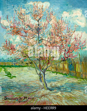 Rosa Pfirsichbäume, von Vincent van Gogh, 1888: Kroller-Muller Museum, Nationalpark De Hoge Veluwe, Otterlo, Niederlande, Europa Stockfoto