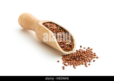 Rote Quinoa Samen in hölzerne Schaufel isoliert auf weißem Hintergrund. Stockfoto