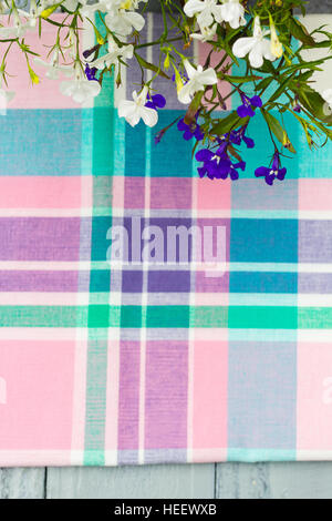 Hautnah auf karierten Tischdecke Stoff. Pink, grün, violett mit weißen Tartan Karomuster mit blühenden Blumen lobelia Stockfoto